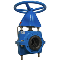 Manual Pinch Valves & Actuators